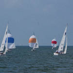 St Petersburg FL Races and Harbor 4-19-21-12 025.jpg