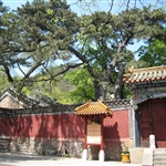 TanZhe/JieTai Temple（潭柘/戒台寺）, Beijing
