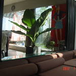 DSC07456.JPG