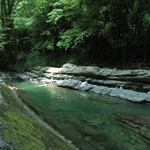 Korita