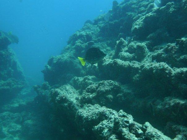 n581861735_1258567_795[1].jpg