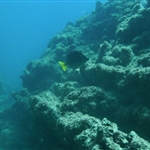 n581861735_1258567_795[1].jpg