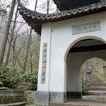 P1000815.jpg
