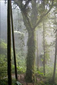 DSCN0486.jpg