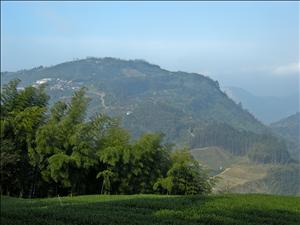 DSCN0458.jpg