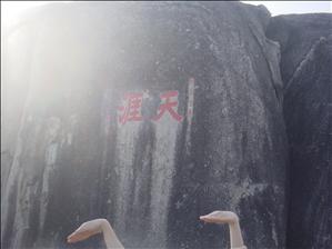 哈哈.JPG