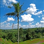bali island