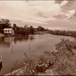 new picture