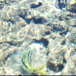 I tre al mare!