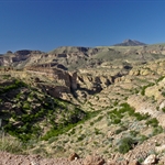 IMG_0934.jpg
