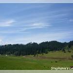 P1230335_Frame(trans_whiteline).JPG