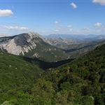 RIMG0172.JPG