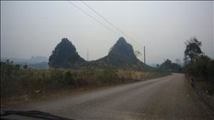 P1030009.JPG