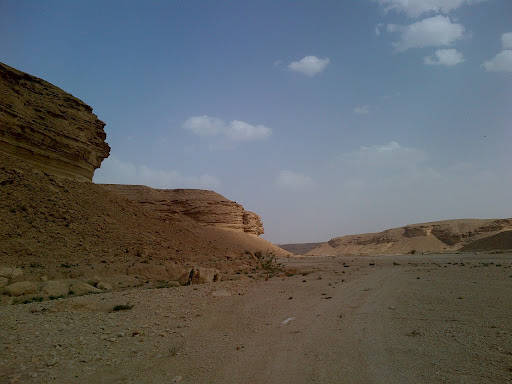 IMG-20120511-00438.jpg