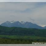 P1230312_Frame(trans_whiteline).JPG