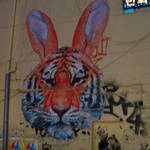 DSC00285.JPG