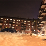 The backyard
