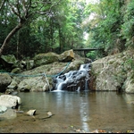 薑花澗小瀑 Ginger Flower Stream
