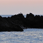 Waialea Bay.JPG