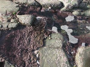 IMG_0068.jpg