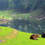 20130427 上下城門香粉寮 Shing Mun Reservoir to Heung Fan Liu