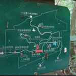 好多隻毛毛蟲在上...