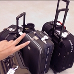 台灣桃園機楊