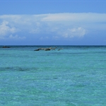DIE blaue Lagune I.JPG