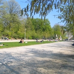 IMG_0211.JPG