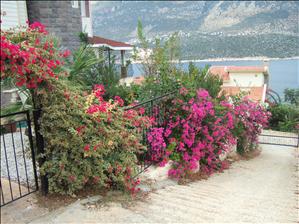 Between The Akropol Restaurant and the Hotel