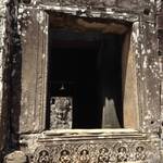 IMG_0620_1.JPG
