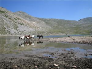 lago della duchessa con rik - 31.08.08 (50).jpg
