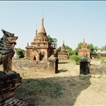 137.JPG