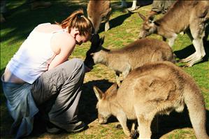 Feeding the Roo