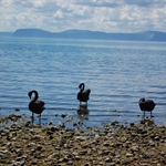 World Tour part 51,Wellington,New Zealand
