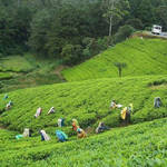 An Introduction to Sylhet, Bangladesh