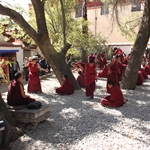 IMG_6106.JPG