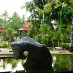 DSC00183.JPG