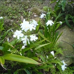 DSC08479.JPG