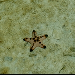 Nabul Island