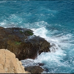 DSC_0743.jpg