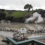 Thats heat coming off the pools not fog!