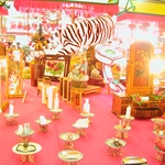 DSCN0302.JPG