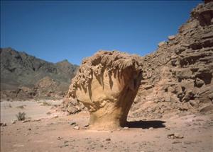 SINAI DESERT