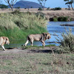 Tanzania