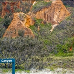 DSCN1219.jpg