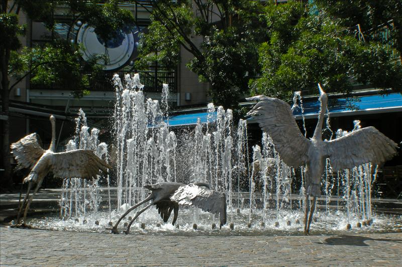 DSCN1588.jpg