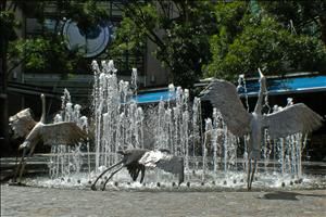 DSCN1588.jpg