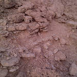 IMG-20120511-00452.jpg