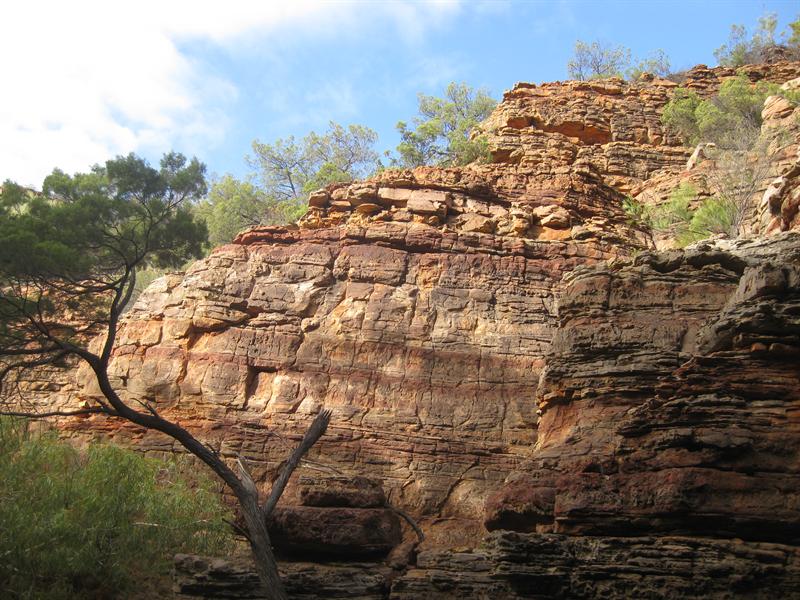 Murchison Gorge